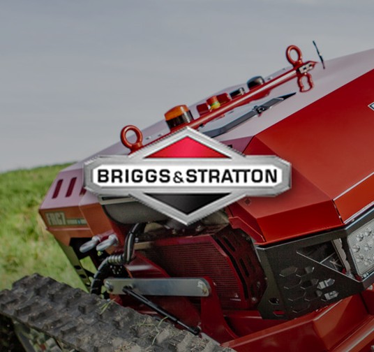 Briggs & Stratton Parts