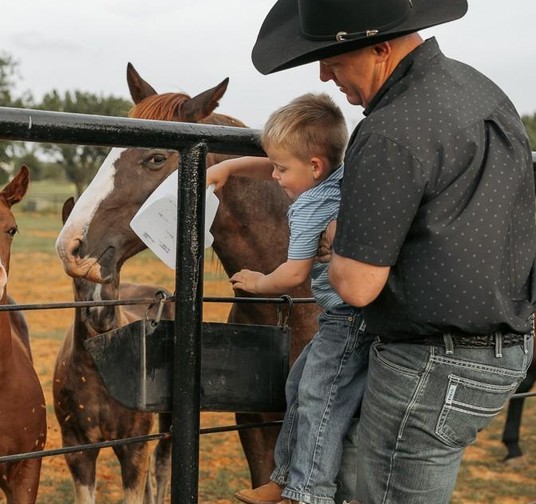Feed & Farm