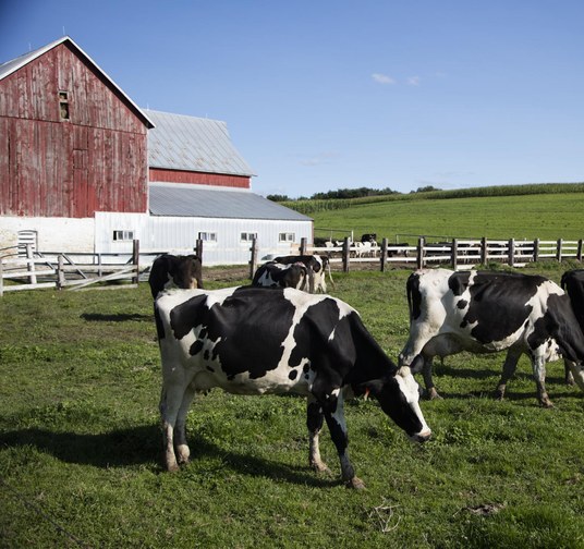 Farm Supplies