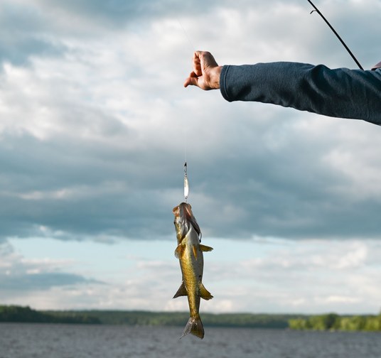 Fishing
