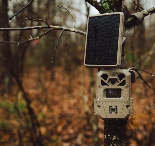 Game Cameras & Accessories