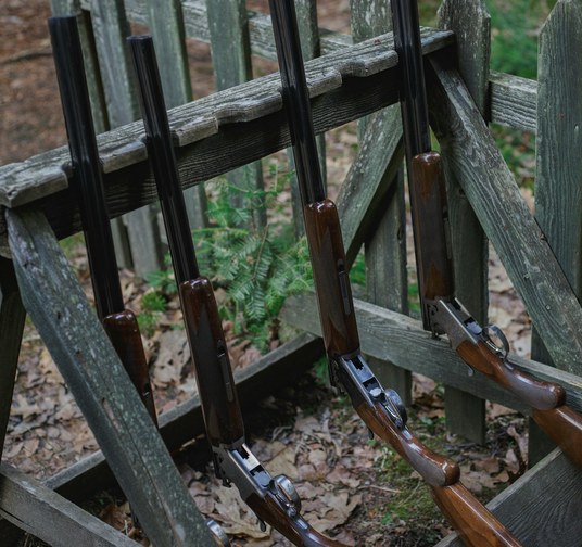 Long Guns
