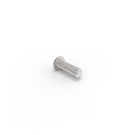 .31 X .18 X 1.00 Bolt