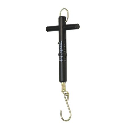 Precision T Handle Scale