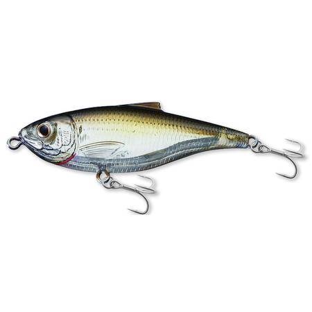 3 Scaled Sardine Ghost Amber