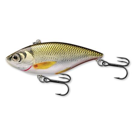 2 Golden Shiner Gld/blk