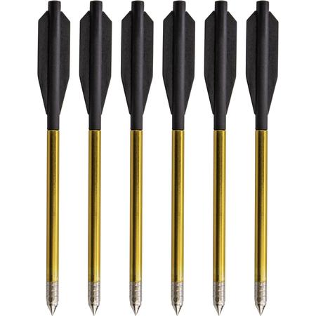Desire Crossbow Bolts 12pk
