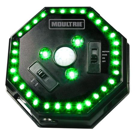 Feeder Hog Light