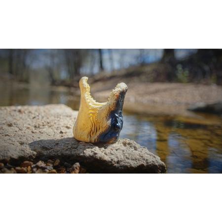 Alligator Can Cooler