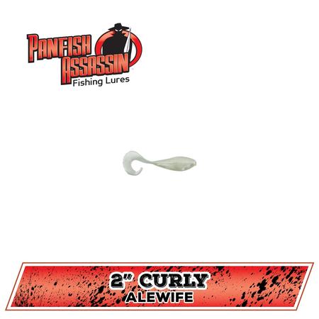Curly Shad Alewife 2in