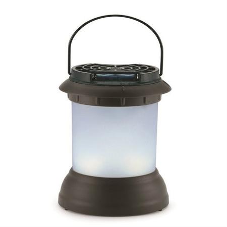 Camp Lantern Gold Series