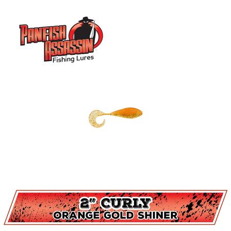 Curly Shad Orange Gold Shiner 2in