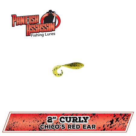 Curly Shad Chicos Red Ear 2in