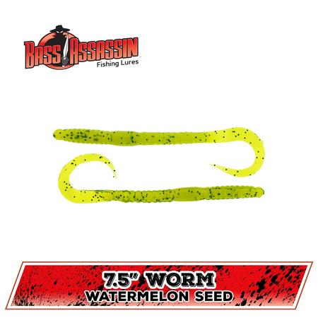 Worm Watermelon Seed 7.5in