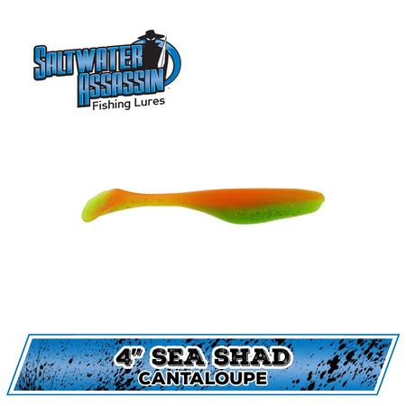 4in Sea Shad Cantaloupe