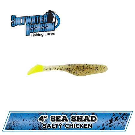 4 Sea Shad Salty Chicken