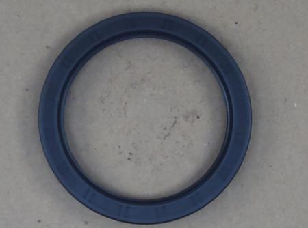 Seal, Rear Oil - Egq155