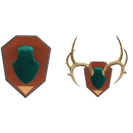 Buck Horn Mounting Kit