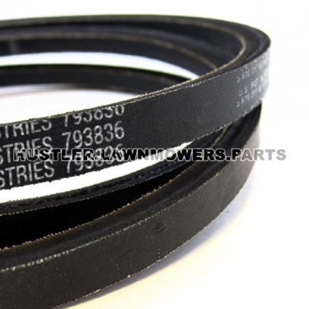 Drive Belt