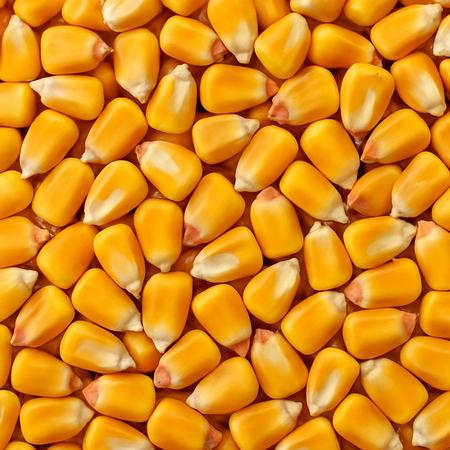 Greens Whole Corn