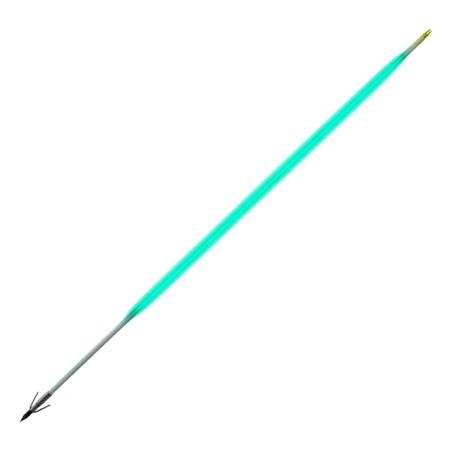 Sabre Fish Arrow Carp Point
