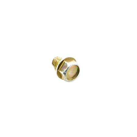 Shakeproof Screw