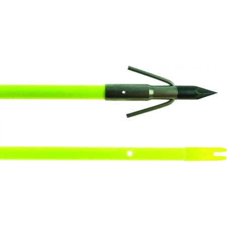 Iron 3 Barb Point W Arrow